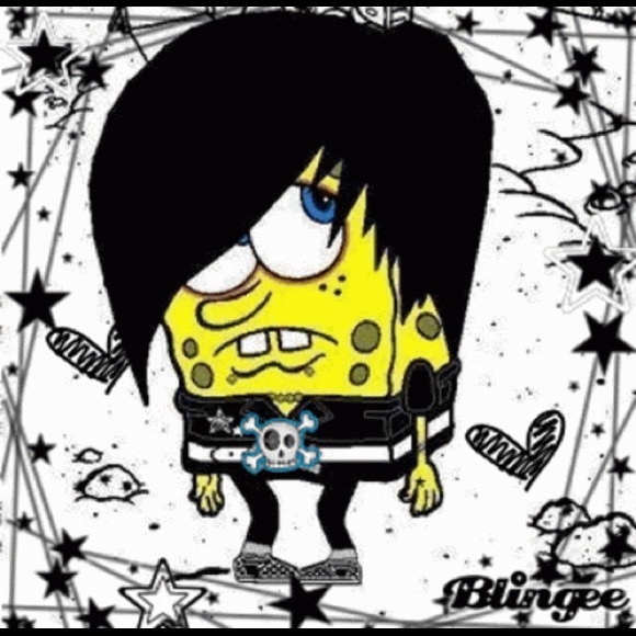 Meet your Posher, Niko - Picture 4 of 5